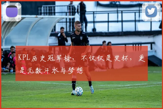 KPL历史冠军榜,不仅仅是奖杯,更是无数汗水与梦想