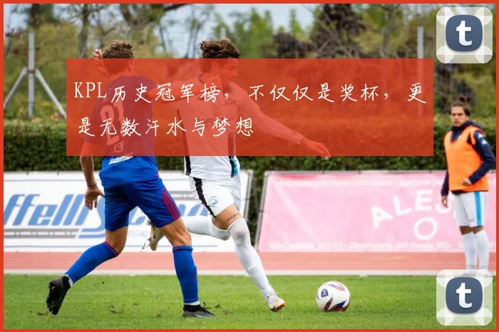 KPL历史冠军榜，不仅仅是奖杯，更是无数汗水与梦想